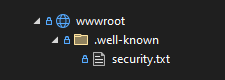 A file named security.txt added to a .NET project