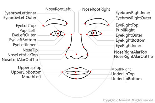 An overview of face landmarks identified by Azure Face API