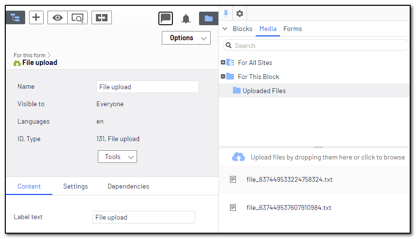 Assets pane, showing the folder «Uploaded Files» below «For This Block» for the File upload block.