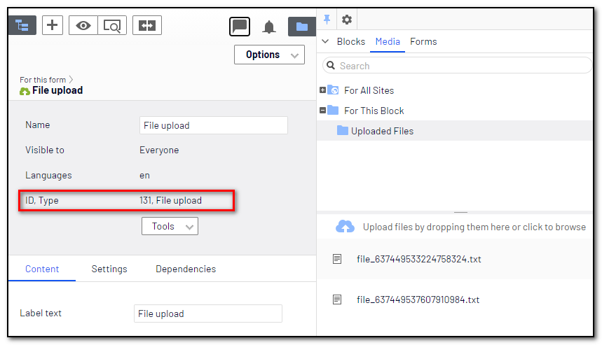 Episerver edit mode showing the content id of the file upload form control.